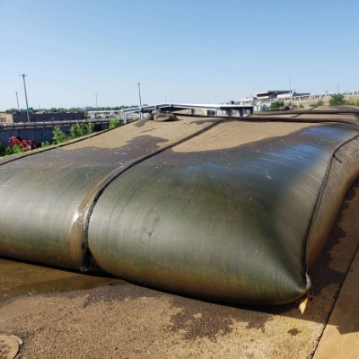 geotubes