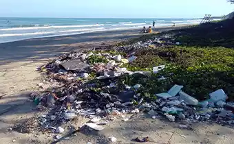 abundant plastic pollution