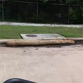 storm drain filter